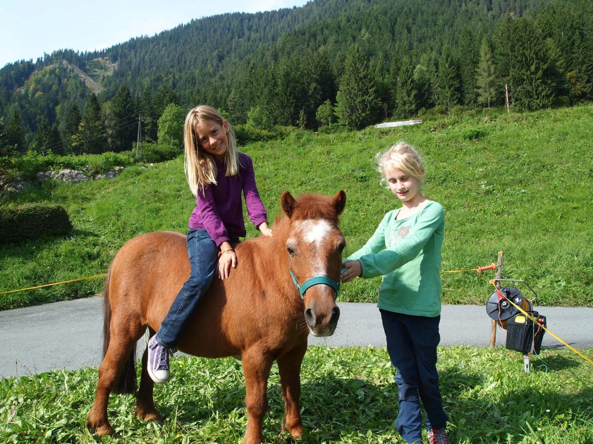 Ferienhof Obergasser Und Bergblick Villa Weissensee Buitenkant foto